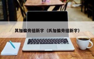 其加偏旁组新字（氏加偏旁组新字）