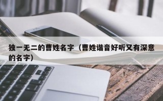 独一无二的曹姓名字（曹姓谐音好听又有深意的名字）