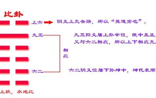 比卦详解_比卦详解事业