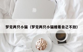 梦见两只小猫（梦见两只小猫缠着自己不放）