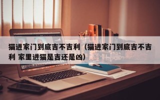 猫进家门到底吉不吉利（猫进家门到底吉不吉利 家里进猫是吉还是凶）