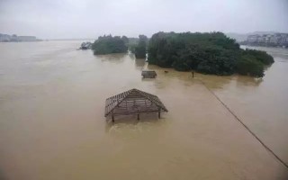 梦到涨大水(梦到涨大水而且速度很快)