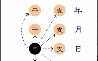 如何排八字(排八字)