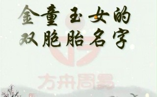 双胞胎起名(双胞胎起名女孩免费)