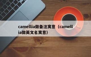 camellia做备注寓意（camellia做英文名寓意）