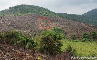 祖坟风水(祖坟风水对后代的影响有科学依据吗)