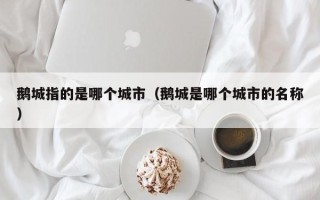 鹅城指的是哪个城市（鹅城是哪个城市的名称）