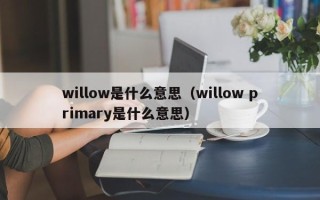 willow是什么意思（willow primary是什么意思）