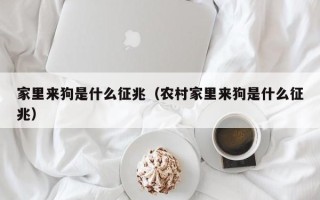 家里来狗是什么征兆（农村家里来狗是什么征兆）