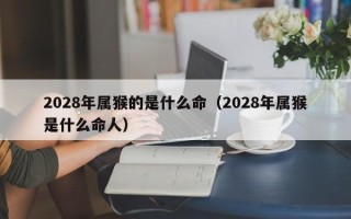 2028年属猴的是什么命（2028年属猴是什么命人）