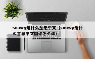 snowy是什么意思中文（snowy是什么意思中文翻译怎么读）