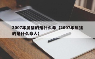 2007年属猪的是什么命（2007年属猪的是什么命人）