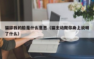 猫舔我的脸是什么意思（猫主动爬你身上说明了什么）