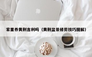 家里养黄荆吉利吗（黄荆盆景修剪技巧图解）