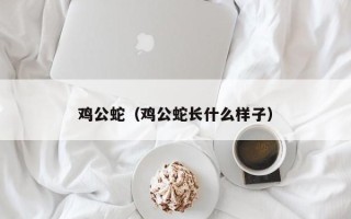 鸡公蛇（鸡公蛇长什么样子）