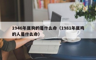 1946年属狗的是什么命（1981年属鸡的人是什么命）