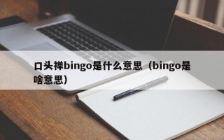 口头禅bingo是什么意思（bingo是啥意思）