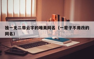 独一无二带云字的唯美网名（一辈子不用改的网名）