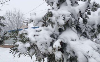 梦到下大雪(梦到下大雪是什么征兆周公解梦)