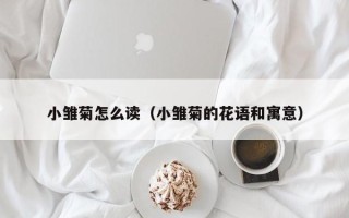 小雏菊怎么读（小雏菊的花语和寓意）