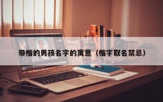 带楷的男孩名字的寓意（楷字取名禁忌）