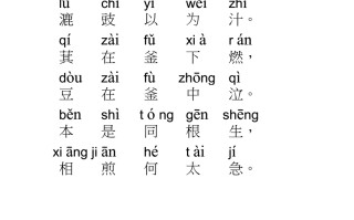 诗字的拼音(诗字的拼音怎么写)