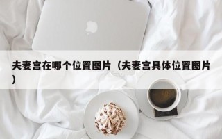 夫妻宫在哪个位置图片（夫妻宫具体位置图片）