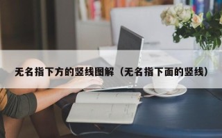 无名指下方的竖线图解（无名指下面的竖线）