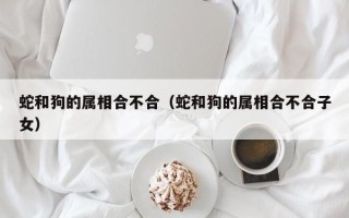 蛇和狗的属相合不合（蛇和狗的属相合不合子女）