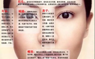 女人面相图(右眼有痣的女人面相图)