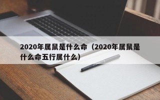 2020年属鼠是什么命（2020年属鼠是什么命五行属什么）