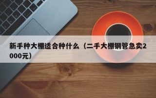 新手种大棚适合种什么（二手大棚钢管急卖2000元）