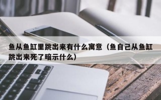 鱼从鱼缸里跳出来有什么寓意（鱼自己从鱼缸跳出来死了暗示什么）