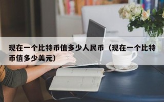 现在一个比特币值多少人民币（现在一个比特币值多少美元）