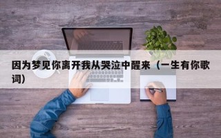 因为梦见你离开我从哭泣中醒来（一生有你歌词）