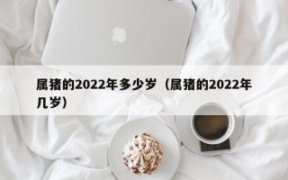 属猪的2022年多少岁（属猪的2022年几岁）