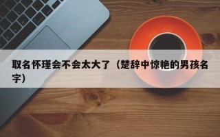 取名怀瑾会不会太大了（楚辞中惊艳的男孩名字）