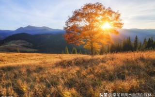 食神坐七杀(食神坐七杀是什么意思)