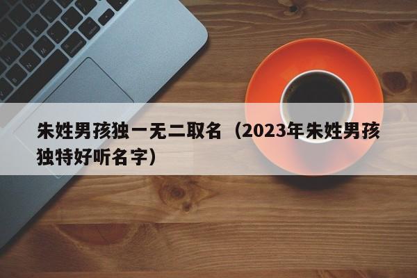 朱姓男孩独一无二取名（2023年朱姓男孩独特好听名字）