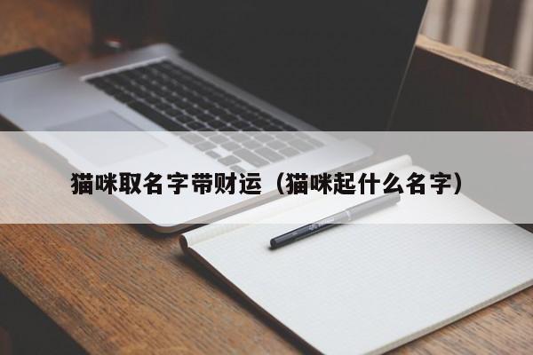 猫咪取名字带财运（猫咪起什么名字）