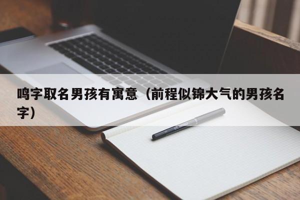 鸣字取名男孩有寓意（前程似锦大气的男孩名字）