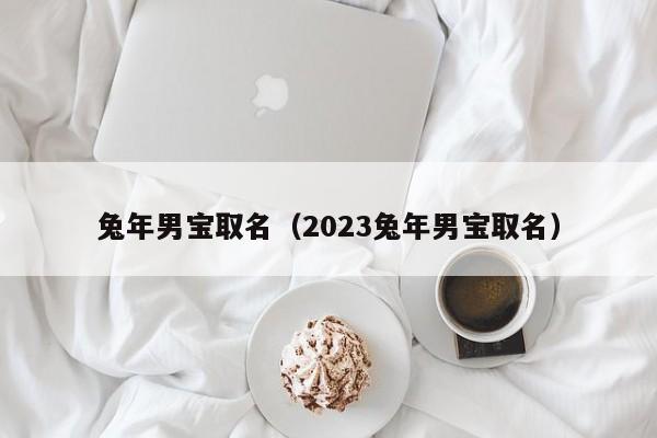 兔年男宝取名（2023兔年男宝取名）