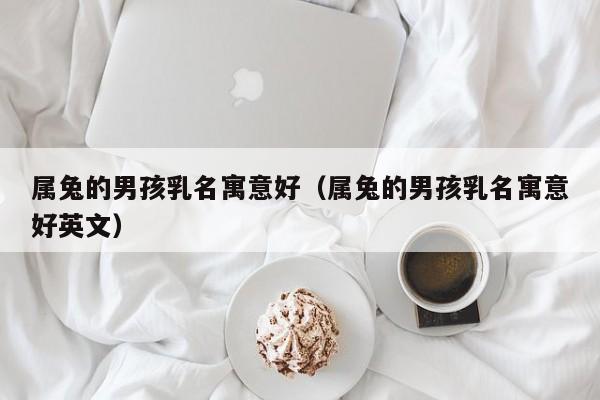 属兔的男孩乳名寓意好（属兔的男孩乳名寓意好英文）