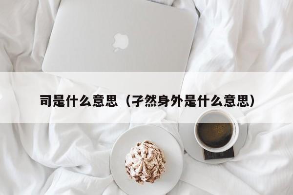 司是什么意思（孑然身外是什么意思）