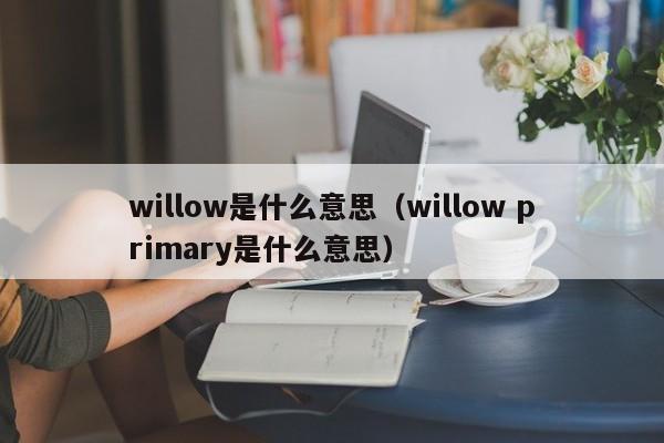 willow是什么意思（willow primary是什么意思）