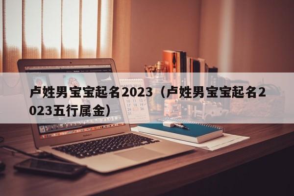 卢姓男宝宝起名2023（卢姓男宝宝起名2023五行属金）