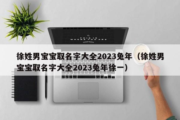 徐姓男宝宝取名字大全2023兔年（徐姓男宝宝取名字大全2023兔年徐一）