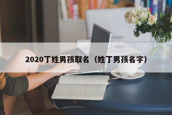 2020丁姓男孩取名（姓丁男孩名字）