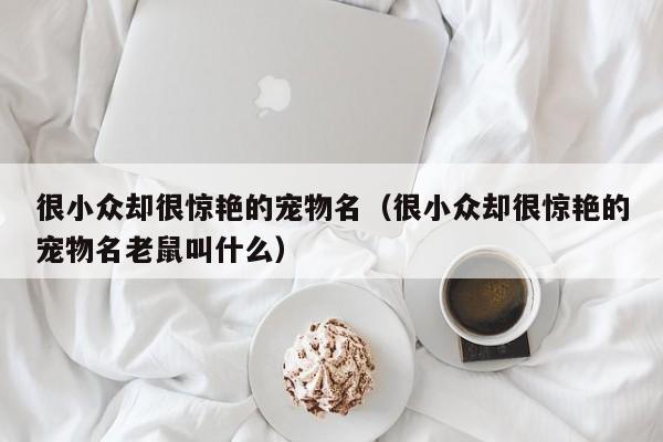 很小众却很惊艳的宠物名（很小众却很惊艳的宠物名老鼠叫什么）