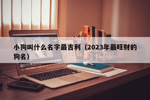 小狗叫什么名字最吉利（2023年最旺财的狗名）